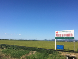 基地實景