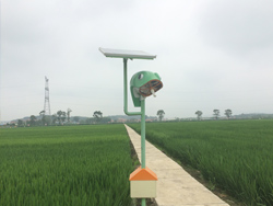 太陽能多功能扇吸式捕蟲器